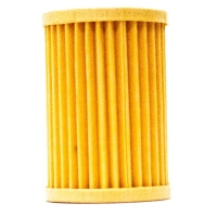Produto O Elemento Filtrante SX48 - Coldpac