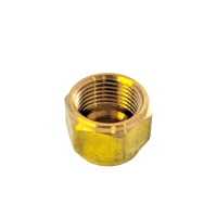 Produto Porca Forjada 1/4 Coldpac