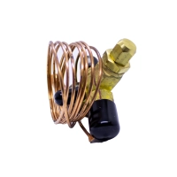 Produto Válvula Tixa 08TR Rosca Emerson R22/407 AAE8HW100 