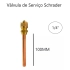 Kit Com 50 Válvulas De Serviço Schrader 1/4 100mm